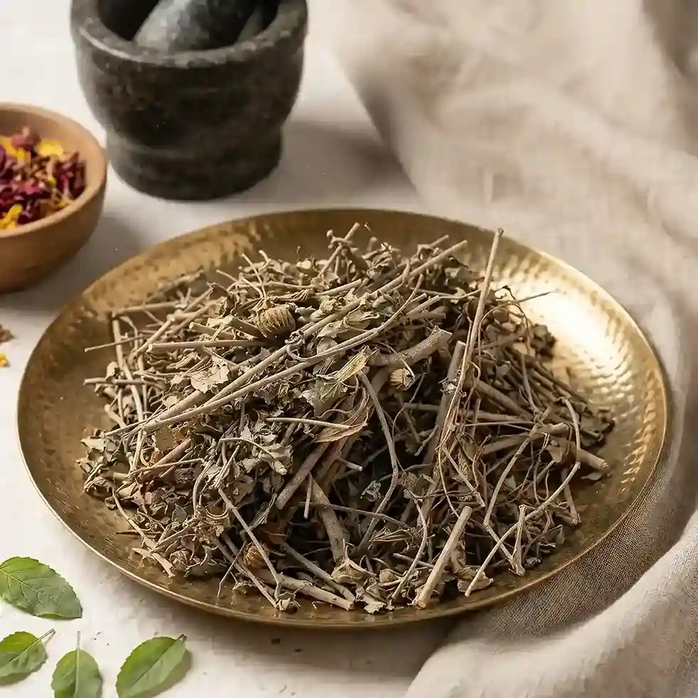 Bala Bark | Country Mallow Bark | Khareti Chhal | Berela Chal
